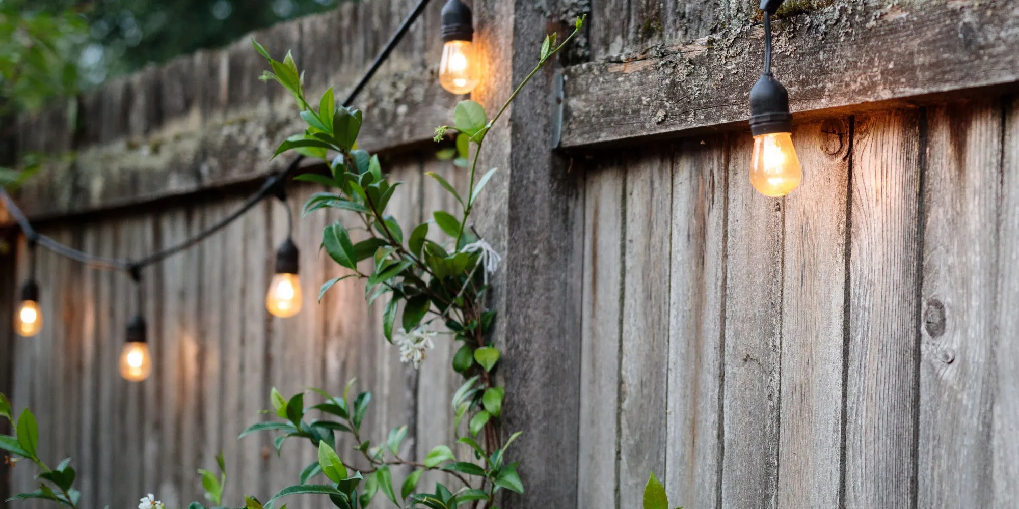 Light Haven Sales Store -Light Haven Sales Store whergtq3hw